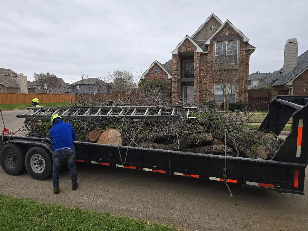 Expert Tree Fertilization with proper safety equipment in Oak City
